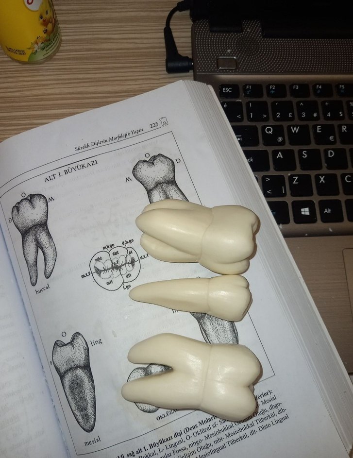 sabundan diş - Görsel 3