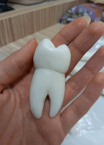 sabundan diş - Görsel 5