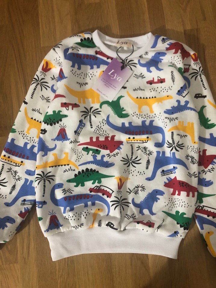 Çok Renkli Baskılı Erkek çocuk takım - Görsel 3