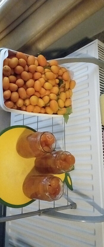  KUMKAT TATLISI. EV YAPIMI