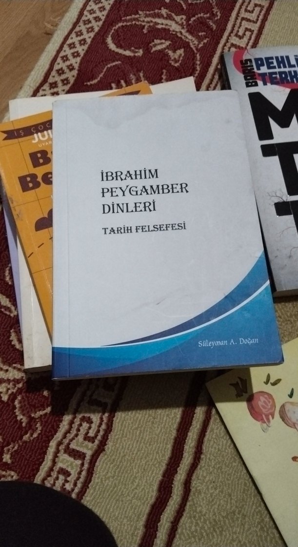 İbrahim Peygamber Dinleri Tarih Felsefesi Kitabı - Görsel 3