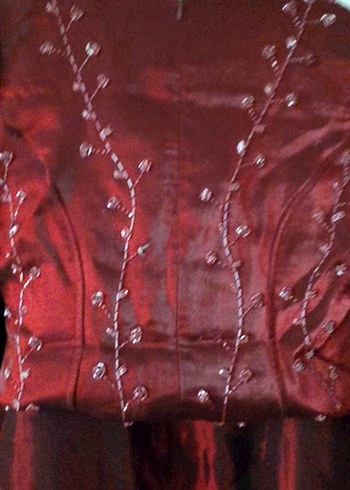 Bordo İşlemeli Uzun Kollu Vintage Kadın Elbise - Görsel 3