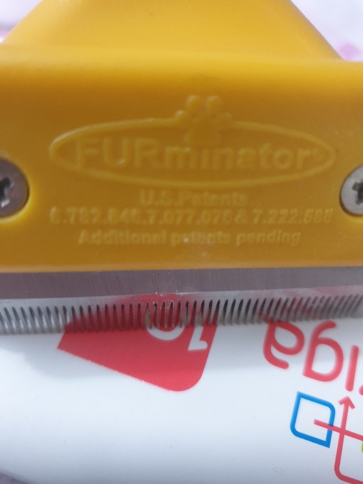 Sarı Furminator Kedi Tüy Toplama Tarağı - Görsel 3