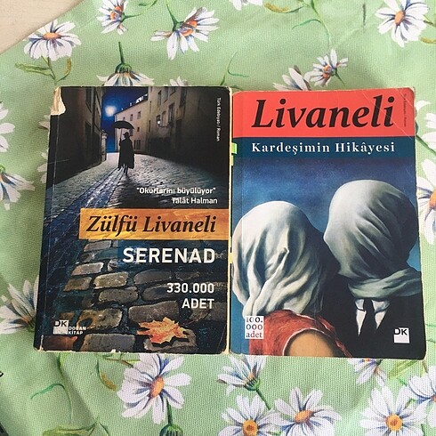 ZÜLFÜ LİVANELİ KİTAPLARI