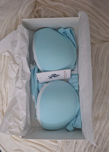 U.S.Polo 66134 Dolgulu Sütyen Takım 90B-MINT - Görsel 3