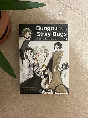 Bungou Stray Dogs 1