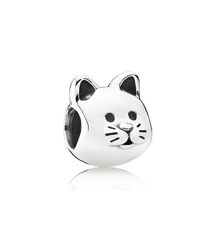Kedi charm