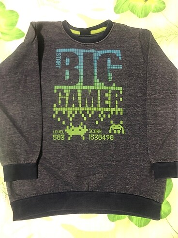 Sweatshirt