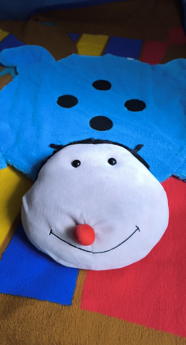 Uğur böcekli paspas - Görsel 2