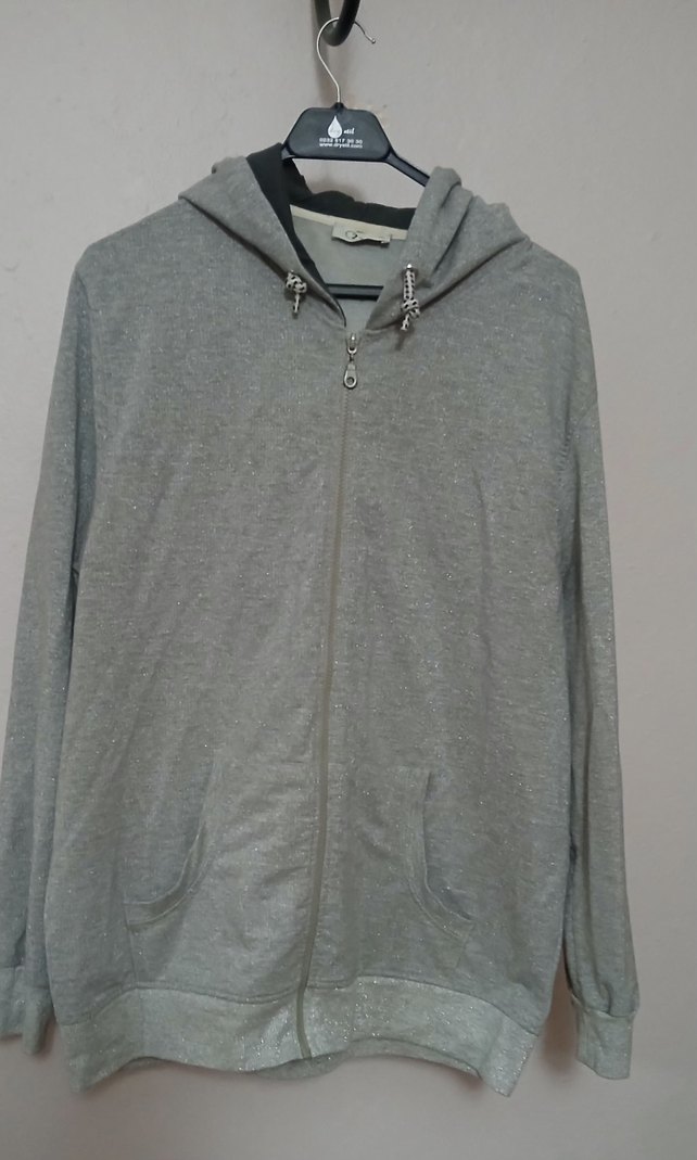 Gri Kapüşonlu Fermuarlı Kadın Sweatshirt simli - Görsel 4