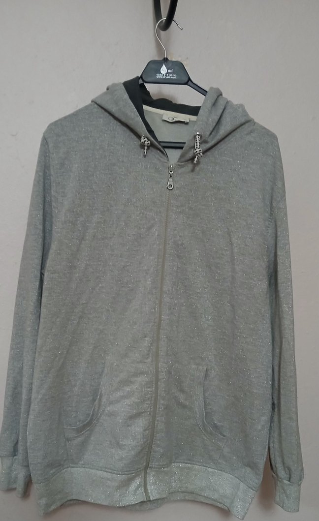 Gri Kapüşonlu Fermuarlı Kadın Sweatshirt simli - Görsel 3