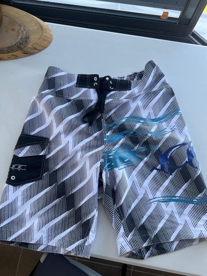 Haşema Erkek Mayo Deniz Şortu L Beden - Görsel 2