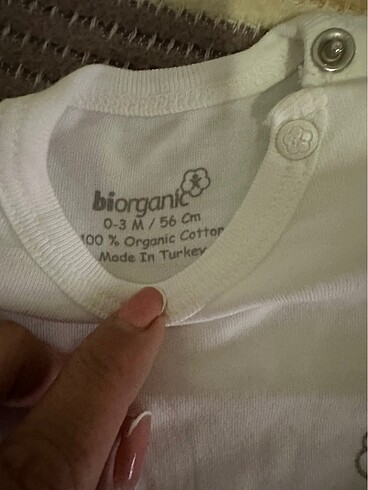 Bady çeşitleri????kaydrın - Görsel 3