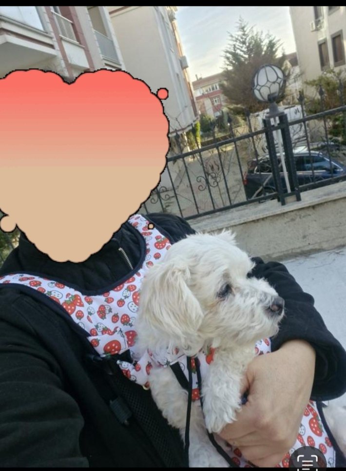 Renkli Ekose Desenli fermuarlı Köpek taşıma çantası - Görsel 3