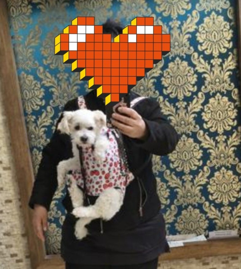 Renkli Ekose Desenli fermuarlı Köpek taşıma çantası - Görsel 2