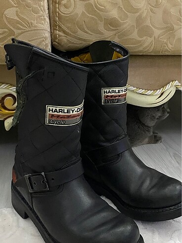 Harley Davidson Harley bot