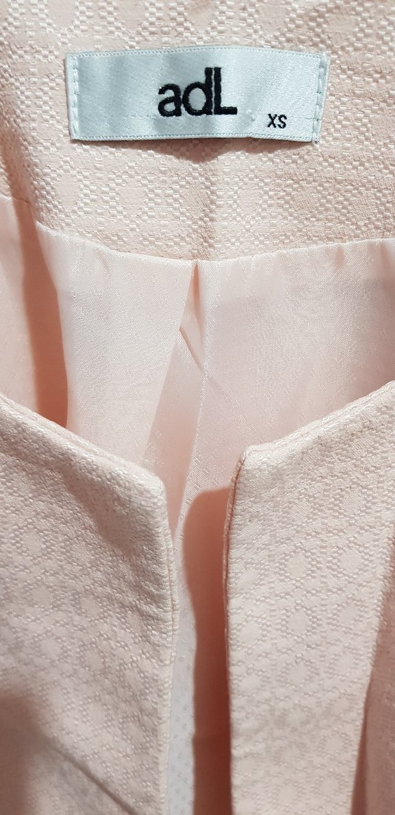 Pudra Pembe Mini Kadın Blazer Ceket - Görsel 4