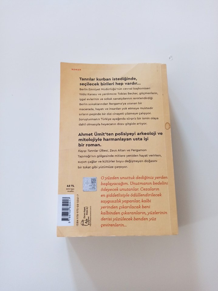 Kayıp Tanrılar Ülkesi - Ahmet Ümit - Görsel 2