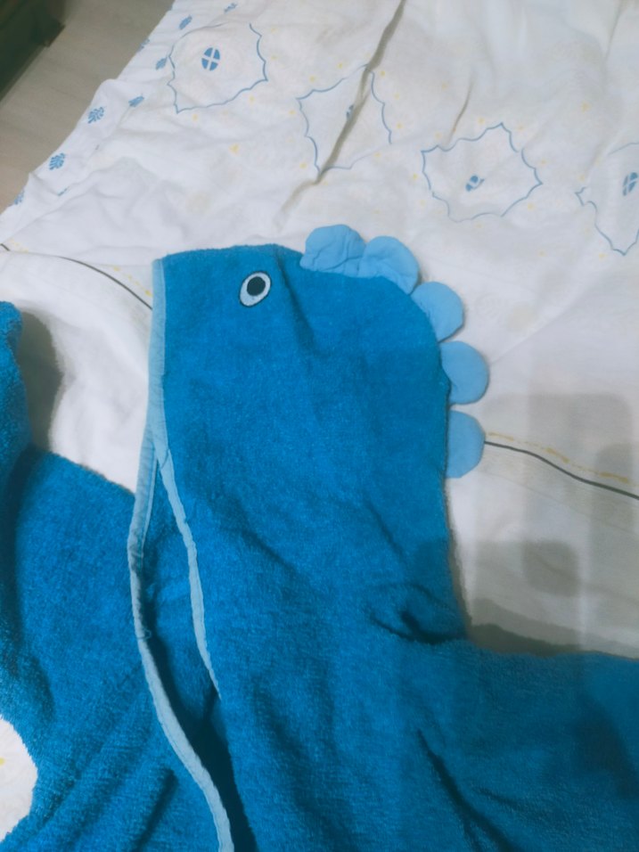 Kapüşonlu Mavi Erkek Bornoz - Görsel 2