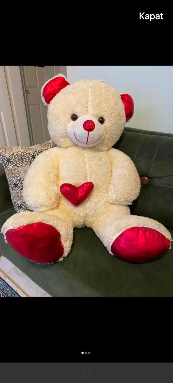 gardorobumu boşaltıyorum - Görsel 3