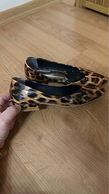 37 Beden Leopar babet