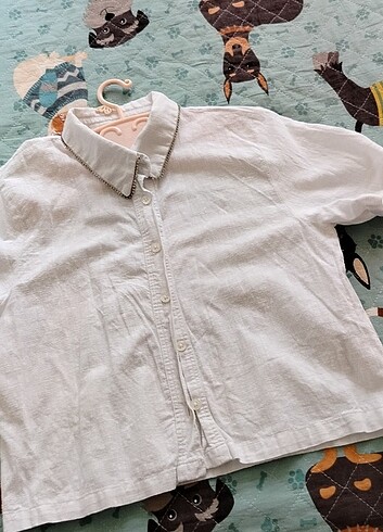 Gömlek - Görsel 5