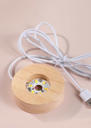 Altın Renkli Deniz Kabuğu Temalı Gece Lambası - Görsel 2