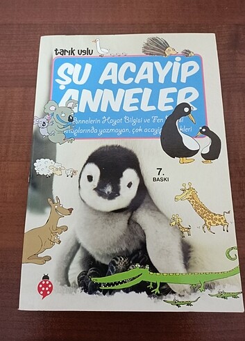 Şu acayip anneler sıfır kitap