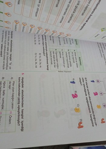 7. Sınıf Tüm Dersler Soru Bankası Seti - Görsel 6