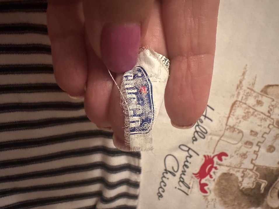 Chicco çift taraflı bebek battaniyesi - Görsel 2