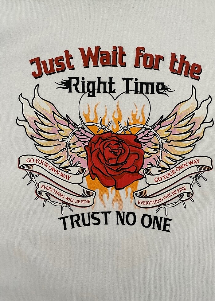 beyaz renk crop - Görsel 5