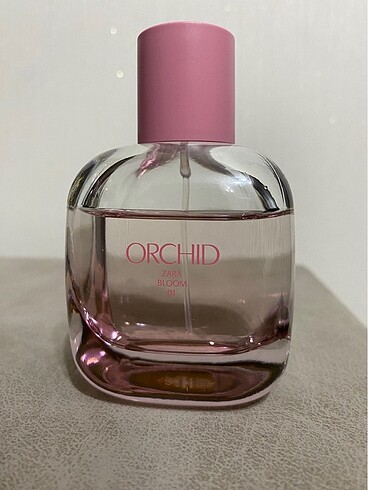 Zara Orchid