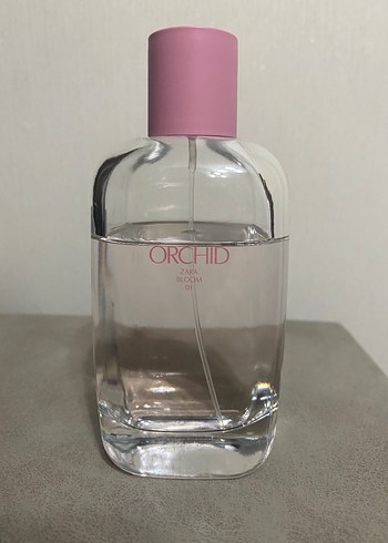  Beden Orchid