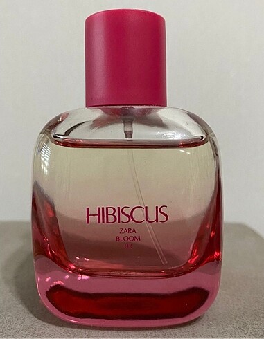 Hibiscus