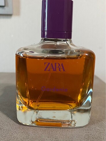 Zara Gardenia