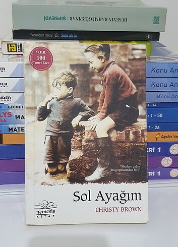 Sol ayağım kitap 