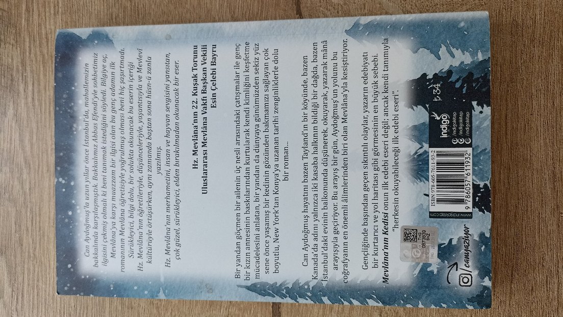 Mevlana'nın Kedisi - Can Aydoğmuş - Görsel 2