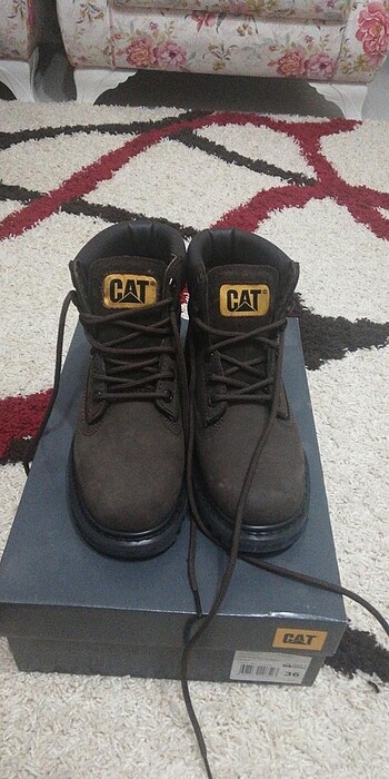 CAT BOT