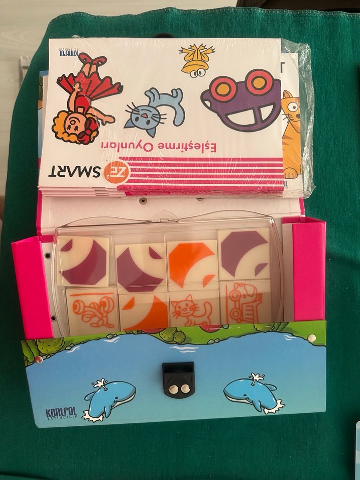 ZE2 SMA Görsel Dikkat Seti Renkli Eğitim Oyuncağı - Görsel 2