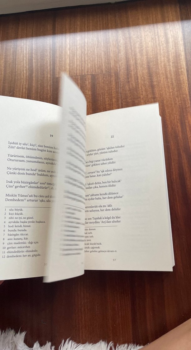 Yunus Emre Divanı - Seçmeler - Görsel 2