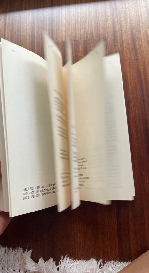 Orhan Veli Bütün Şiirleri - YKY 41. Baskı - Görsel 2