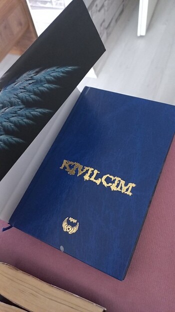  Beden Kıvılcım 