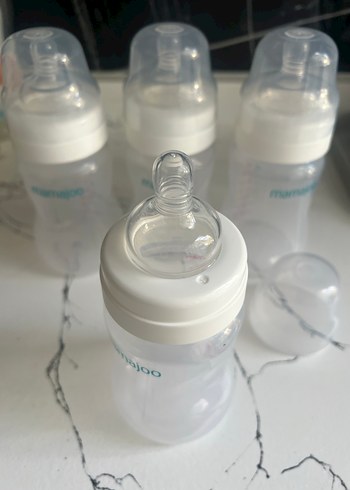 Mamajoo PP Silver 250ml Biberon (+12Ay) - Görsel 3