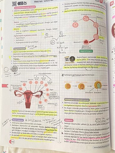 Beden Betül biyoloji ayt konu anlatım video destekli defter