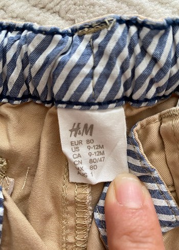 Erkek Bej Regular Fit Pamuk Şort - Görsel 6