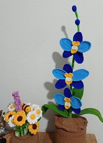 Orkide ve ayçiçeği saksı