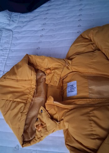 Sarı renk erkek Kışlık Mont - Görsel 3