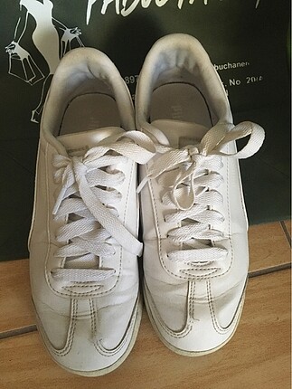Puma spor