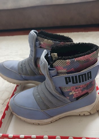 Puma 29