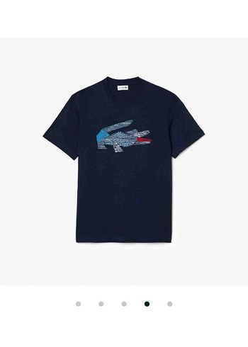 m Beden Lacoste Erkek Classic Fit Bisiklet Yaka Tişört